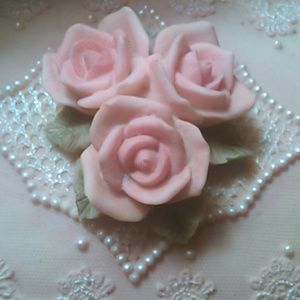 Meet your Posher, Barbara