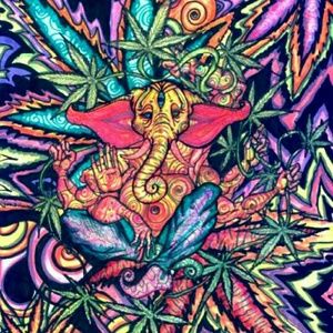 Meet your Posher, Esperanza