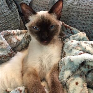 Meet your Posher, Julie