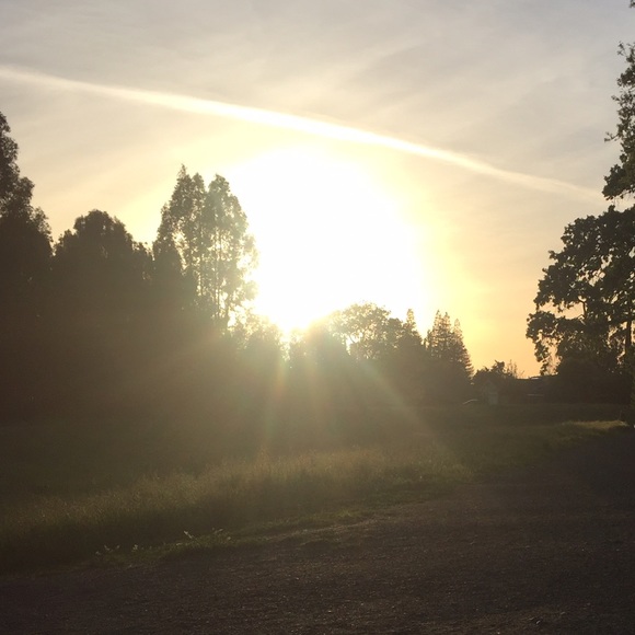 Meet your Posher, Marlena