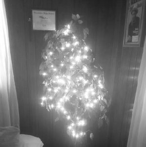 Meet your Posher, Ricky