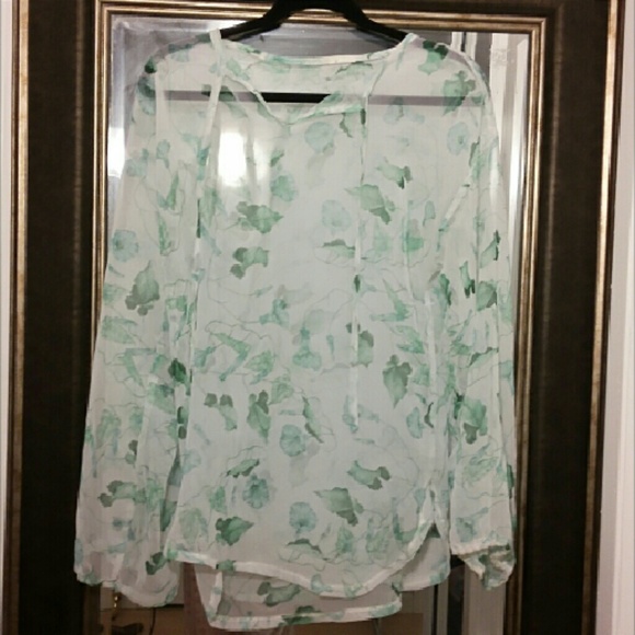 Sheer Beach Cover up