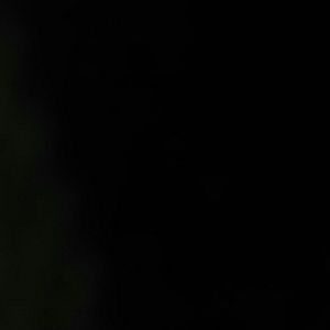 Meet your Posher, Diego