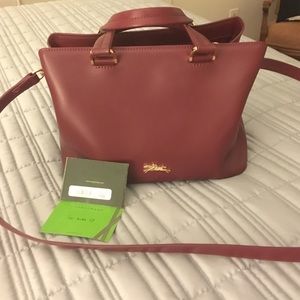 Burgundy long champ strap/arm purse