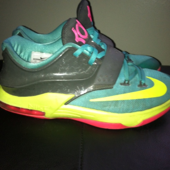 Kd's