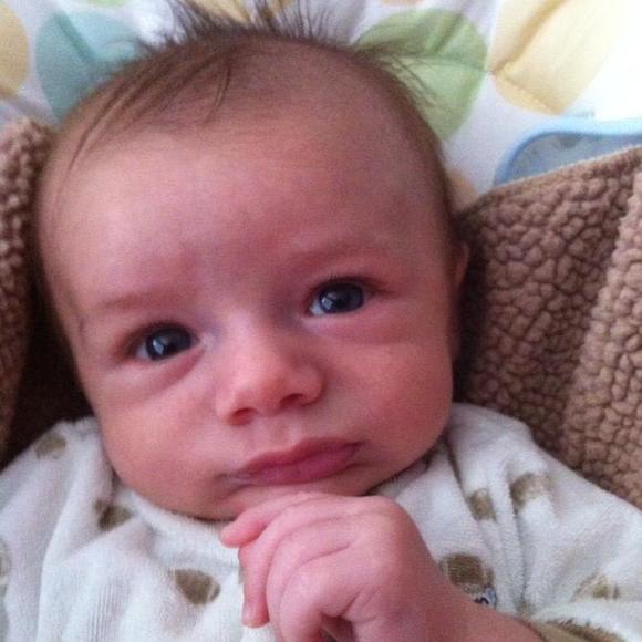 Meet your Posher, Shelby - Picture 1 of 1