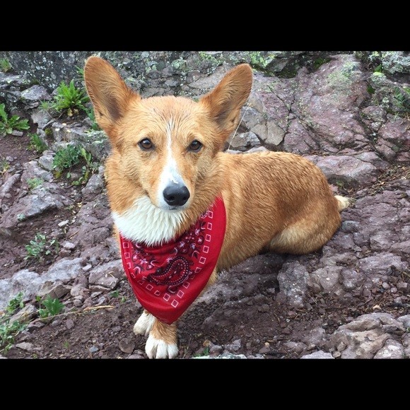 Meet your Posher, Angela