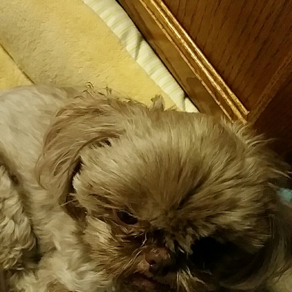 Meet your Posher, Bec