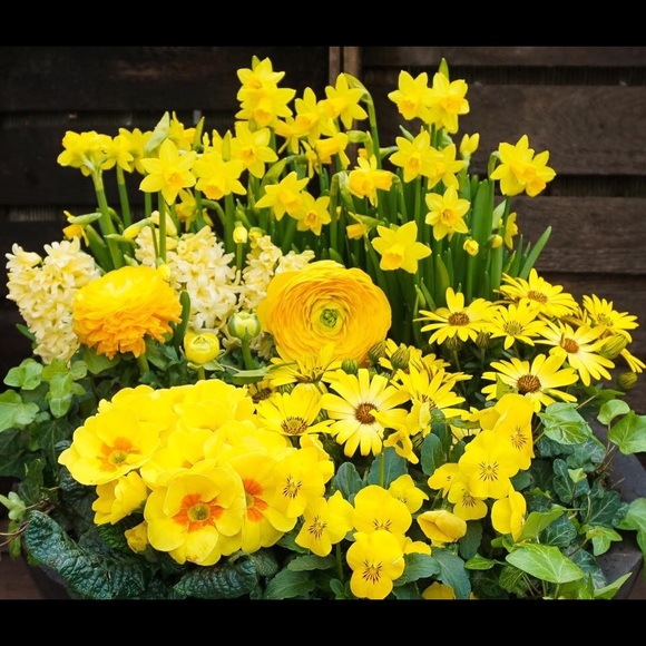 Meet your Posher, Debbie