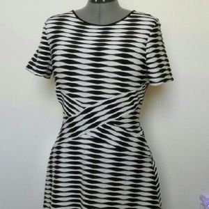 💕Love Fit & Flare