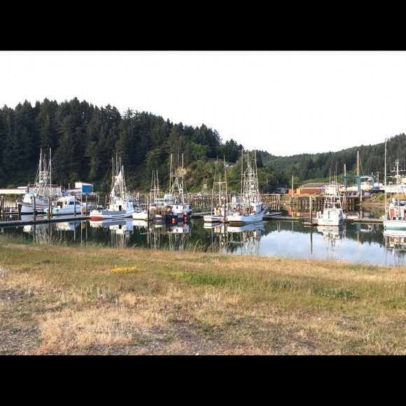 Meet your Posher, Alaina - Picture 2 of 3