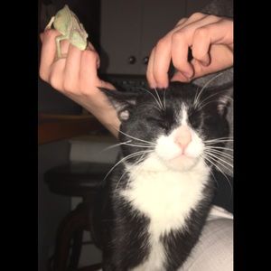 Meet your Posher, Mike