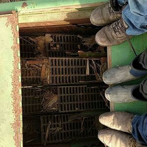 Meet your Posher, Taylor