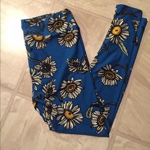 Tc blue daisies