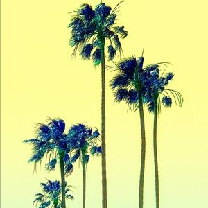 Meet your Posher, Shana