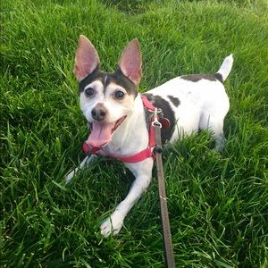 Meet your Posher, Tamara