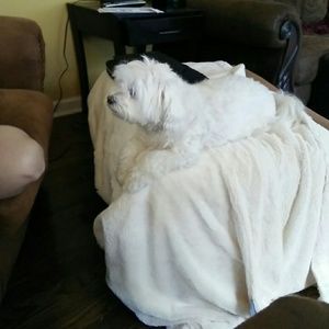 Meet your Posher, Conrad