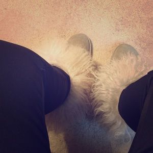 UGG Classic Sheepskin Cuff Mongolian Fur Boot Gray