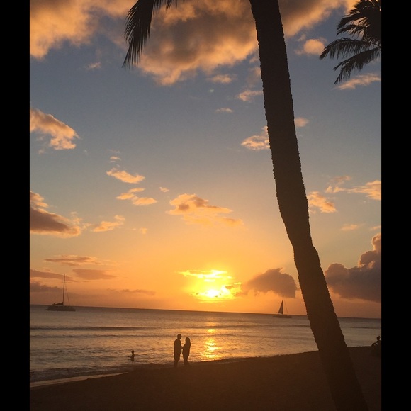 Meet your Posh Ambassador, Cat. - Picture 2 of 2