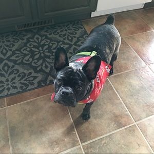 Meet your Posher, Crystal