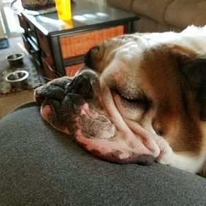 Meet your Posher, Shannon