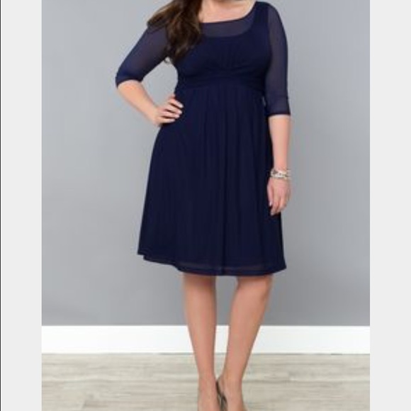 Kiyonna blue mesh tea dress (style: Morgan)