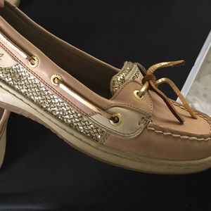 gold angelfish sperrys!