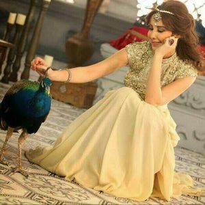 Meet your Posher, Hind