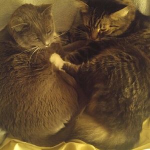 Meet your Posher, Lisa