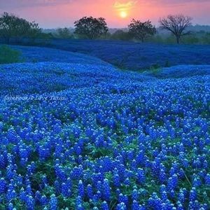 Meet your Posher, Carolyn