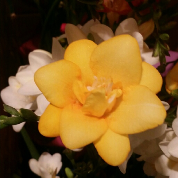 Meet your Posher, Cn