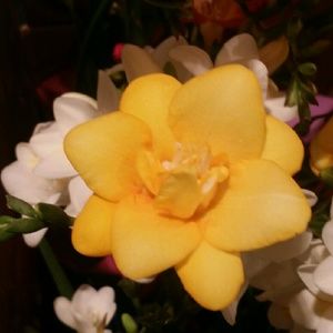 Meet your Posher, Cn