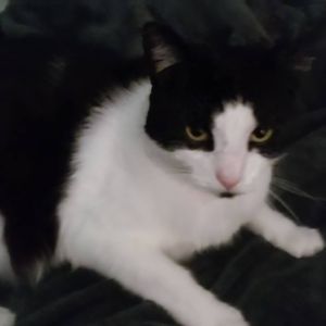 Meet your Posher, Cheryl