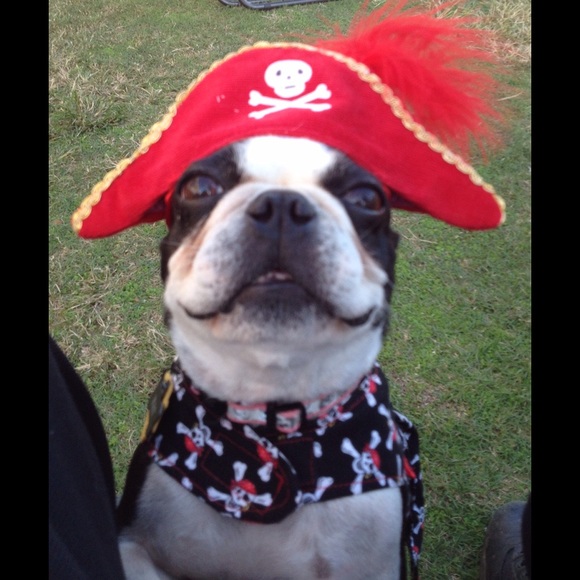 Meet your Designer! - Picture 2 of 4