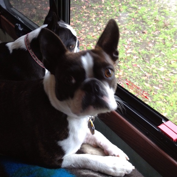 Meet your Designer! - Picture 3 of 4