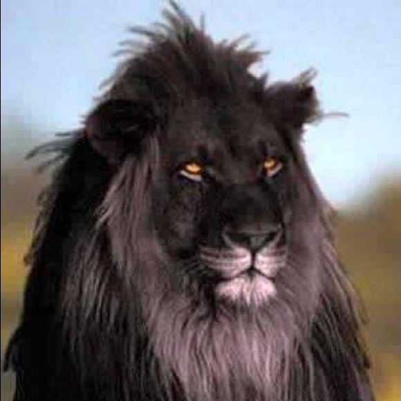 Meet your Posher, Alina