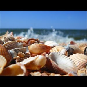 Meet your Posher, Keri