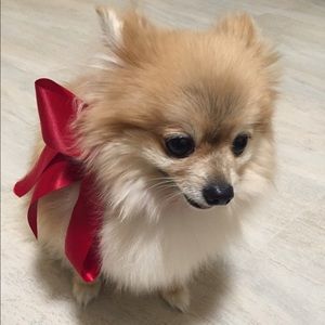 Meet your Posher, Mimi