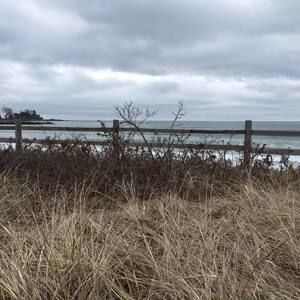 Meet your Posher, Joann