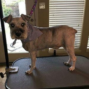 Meet your Posher, Sylvia