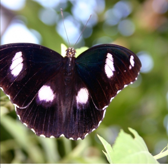 Meet your Posher, Margaret - Picture 1 of 1