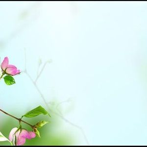 Meet your Posher, Maribel