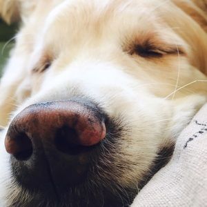 Meet your Posher, Carrie