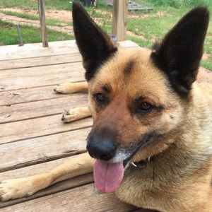 Meet your Posher, Malissa