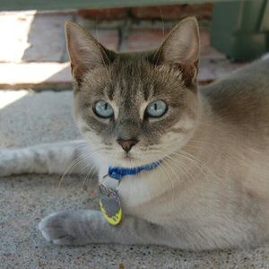 Meet your Posher, Teresa