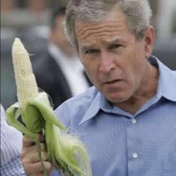 Meet your Posher, Kirsten - Picture 1 of 1