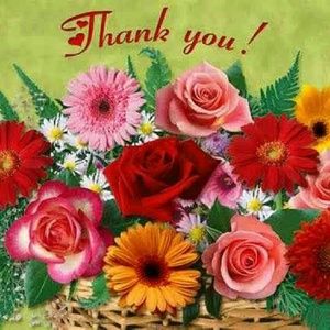 Meet your Posher, Sally