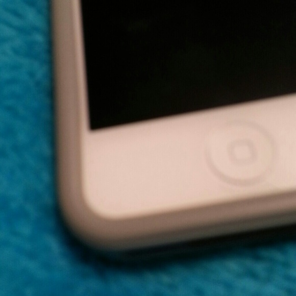 Meet your Posher, Shae - Picture 1 of 1