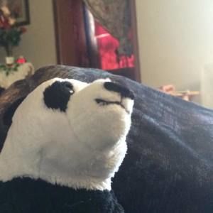 Meet your Posher, Adrian