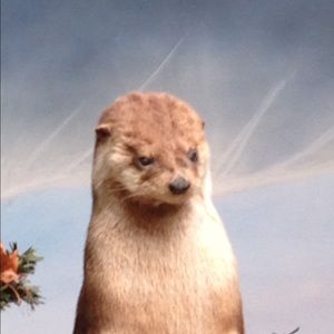 Meet your Posher, Tracey